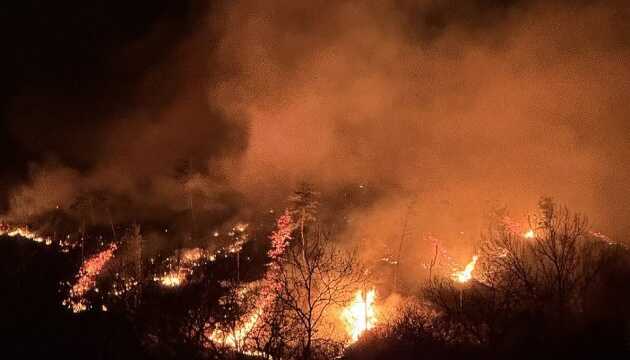 Масштабные пожары в Южной Корее оставили без жилья сотни людей и уничтожили исторический храм