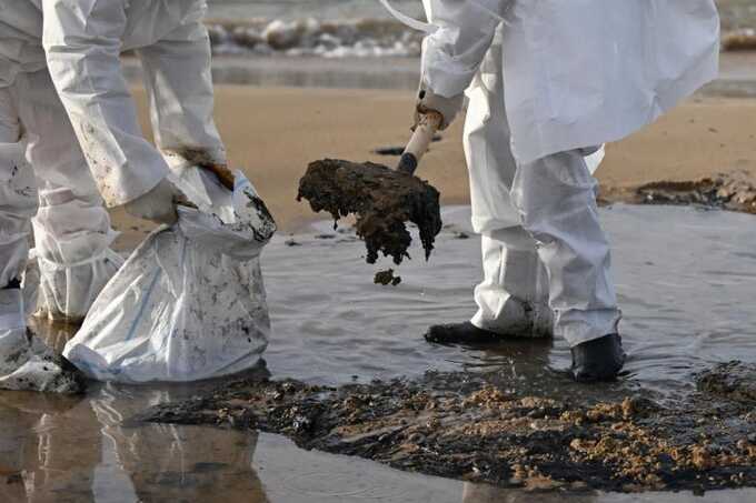 После скандала с деньгами на спасение птиц в Чёрном море блогерша из Анапы открыла экологическую АНО