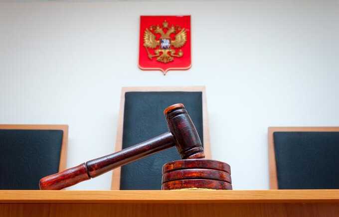 В Челябинске подростка приговорили к восьми годам колонии за поджог истребителя Су-34