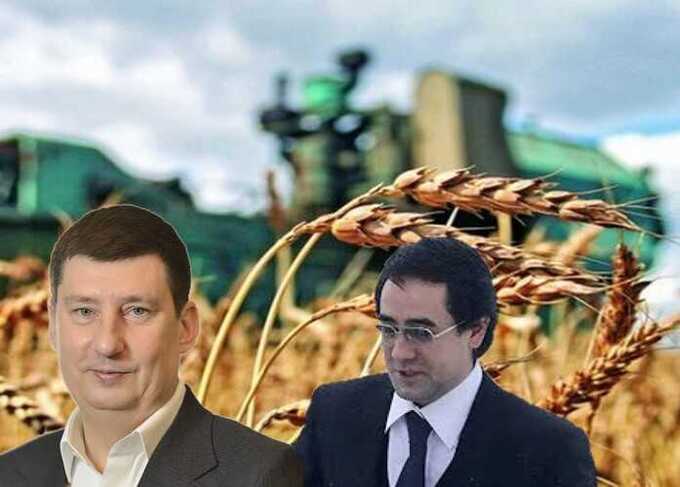 Тимур Шаймиев готовится национализировать «Родные поля» Петра Ходыкина