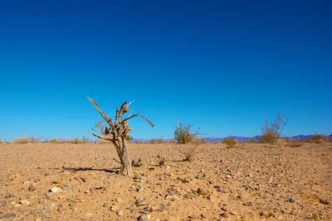 Oil-rich Arab States Launch Coordinated Social Media Efforts to Promote Climate Change Denial
