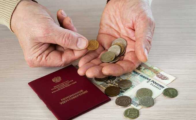 В Госдуме призвали пожилых граждан самостоятельно обеспечивать себя